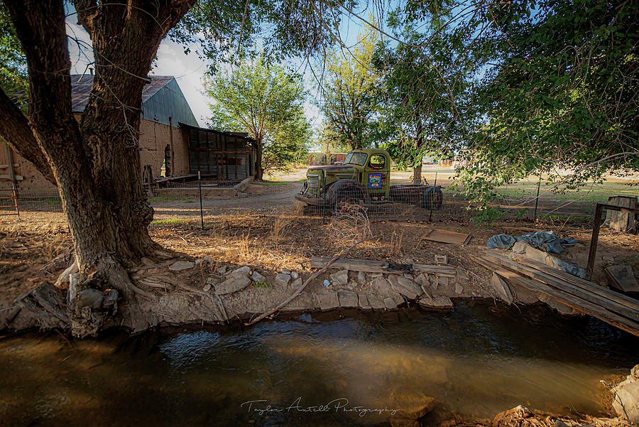 Soft Light Through Untrimmed Trees.. Photograph By Taylor Axtell - Fine 