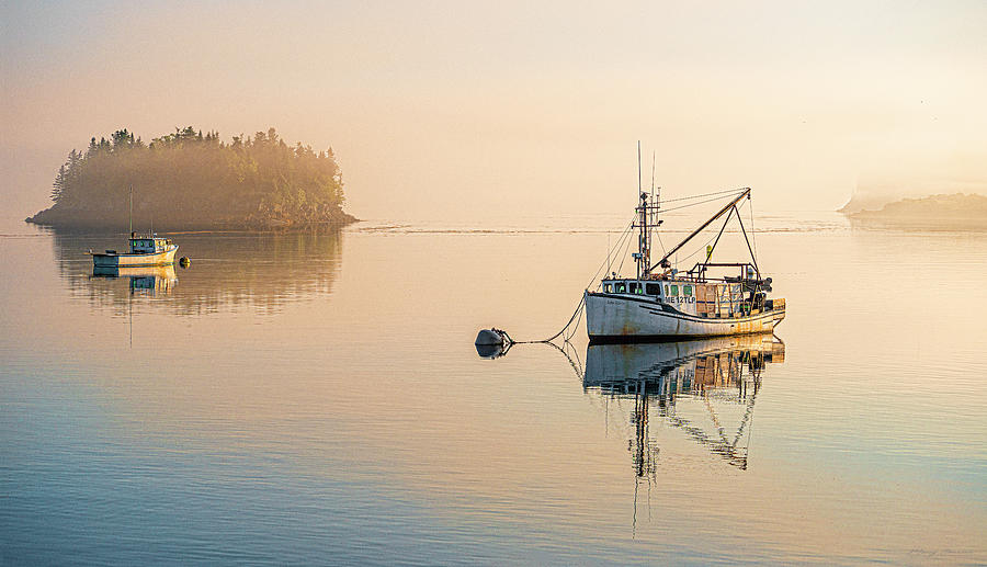 Lingering Fog Photograph - Soft Morning Light At Lubec by Marty Saccone