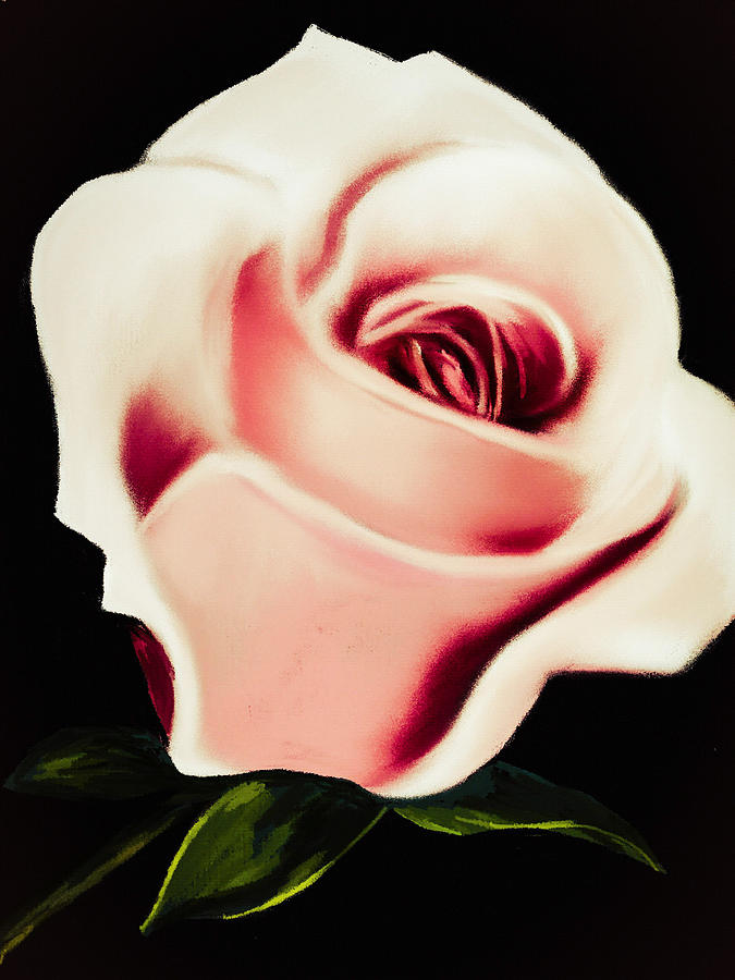 Soft Pink English Rose Digital Art by Michele Koutris