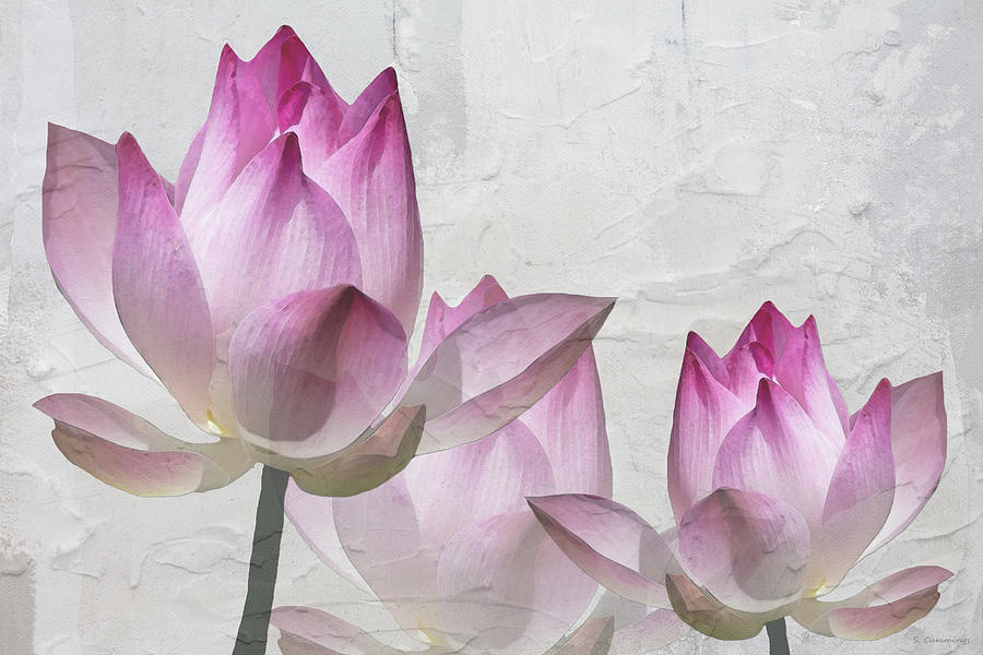Soft Pink Lotus Flower Art on Gray Painting by Sharon Cummings