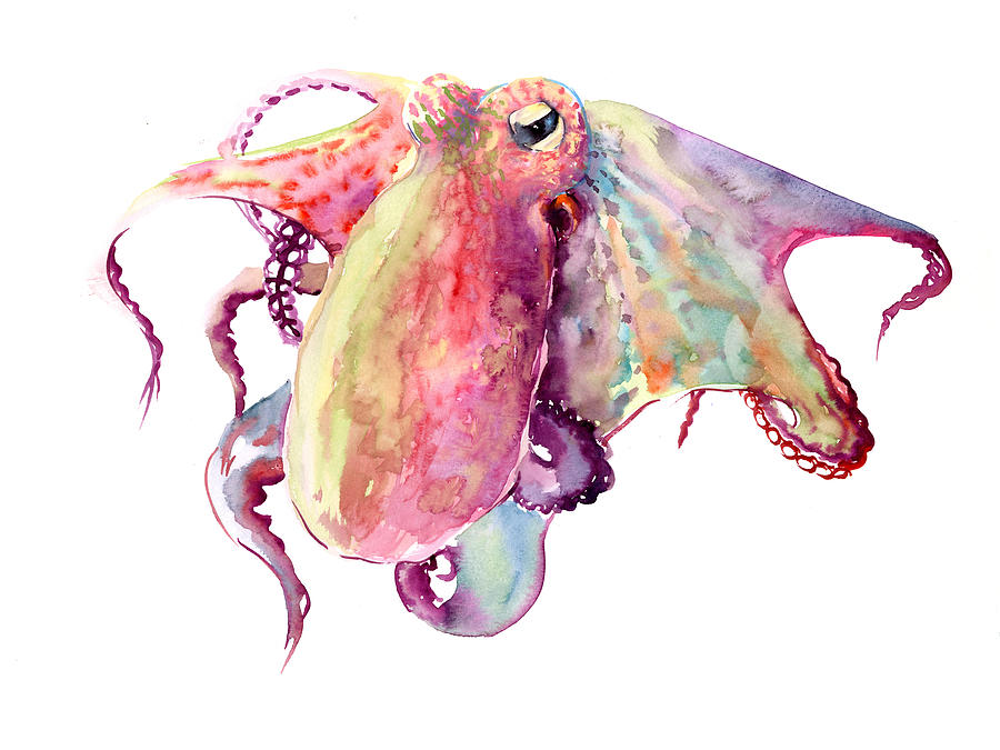 Soft Pink Octopus Painting by Suren Nersisyan