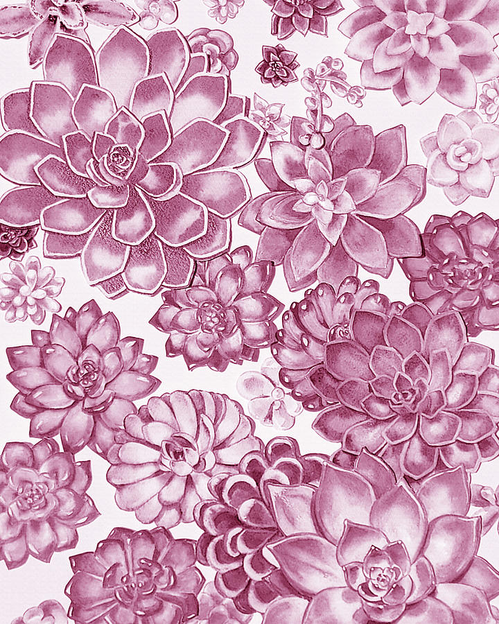 Soft Pink Succulent Plants Garden Watercolor Interior Art I Painting by Irina Sztukowski