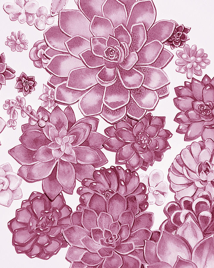 Soft Pink Succulent Plants Garden Watercolor Interior Art II Painting by Irina Sztukowski