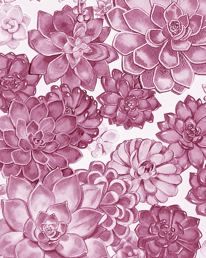 Soft Pink Succulent Plants Garden Watercolor Interior Art III Painting by Irina Sztukowski