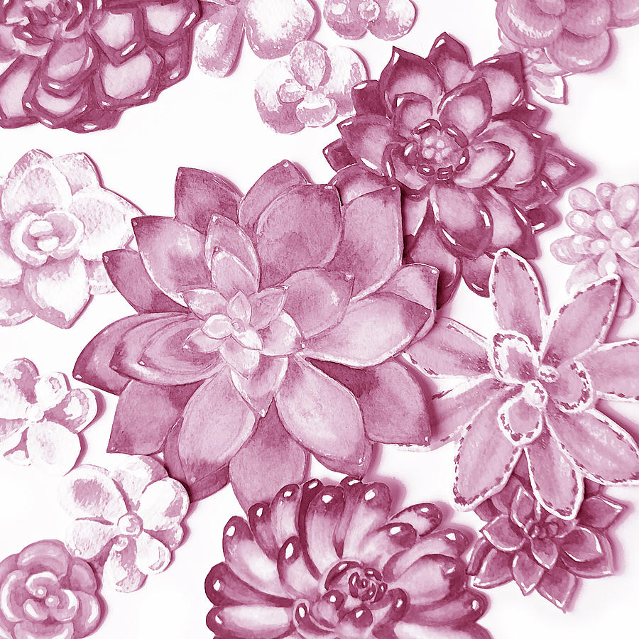 Soft Pink Succulent Plants Garden Watercolor Interior Art IX Painting by Irina Sztukowski