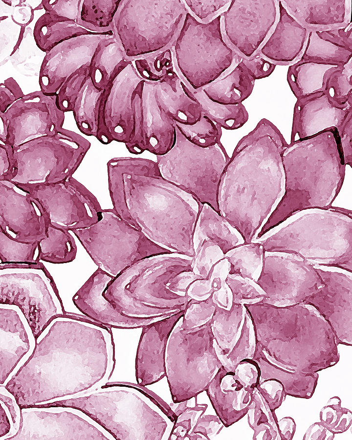 Soft Pink Succulent Plants Garden Watercolor Interior Art VIII Painting by Irina Sztukowski