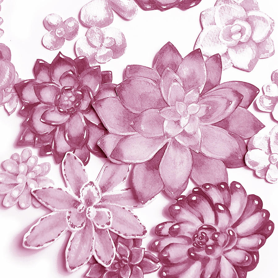 Soft Pink Succulent Plants Garden Watercolor Interior Art X Painting by Irina Sztukowski