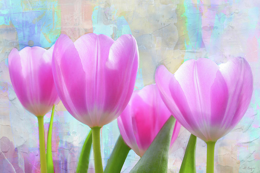 Soft Pink Tulips Flower Art Painting by Sharon Cummings