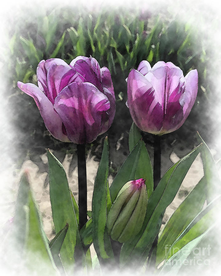 Soft Purple Pattern Tulips Digital Art by Kirt Tisdale