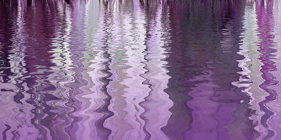 Soft Purple Plum Abstract Panoramic Photograph by Gill Billington