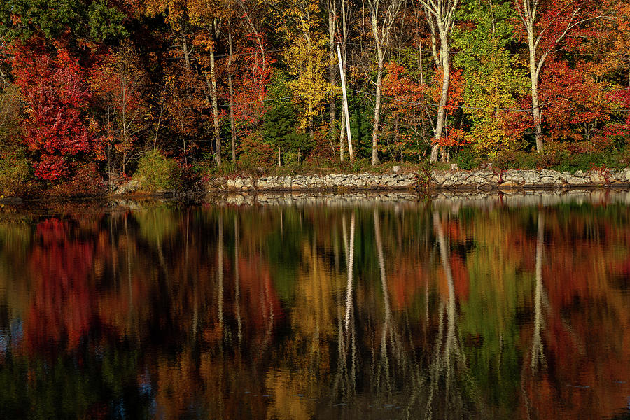 Soft Reflections Of Fall Photograph by Linda Howes - Fine Art America