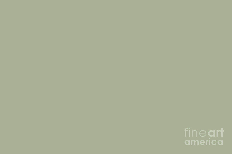Soft Sage Green Solid Color Coordinates w/ PPG Glidden 2022 Color of the Year Olive Sprig PPG1125-4 Digital Art by PIPA Fine Art - Simply Solid