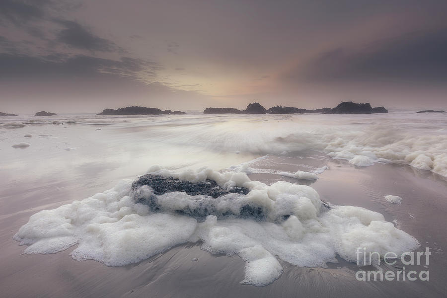 Soft Sea Foam on the Beach Photograph by Masako Metz