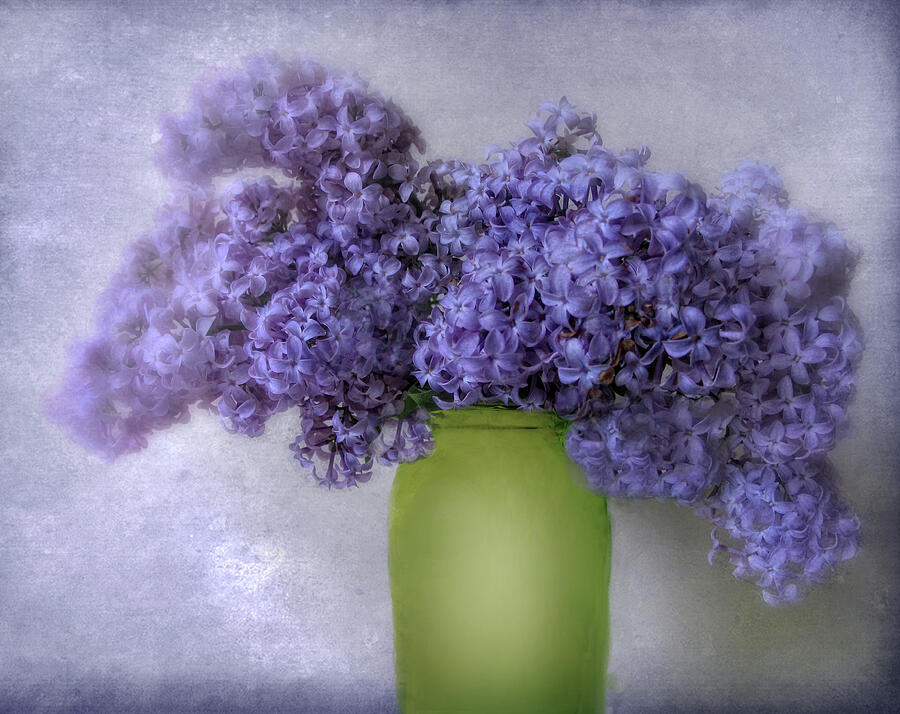 Flower Photograph - Soft Spoken by Jessica Jenney