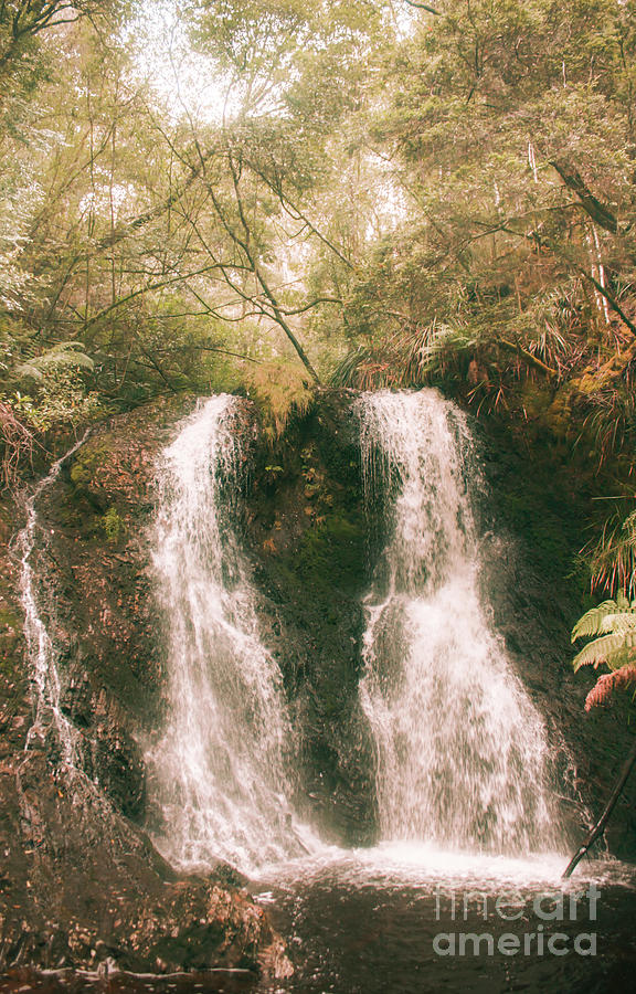 Soft vintage forest waterfall in Tasmania Photograph by Jorgo Photography