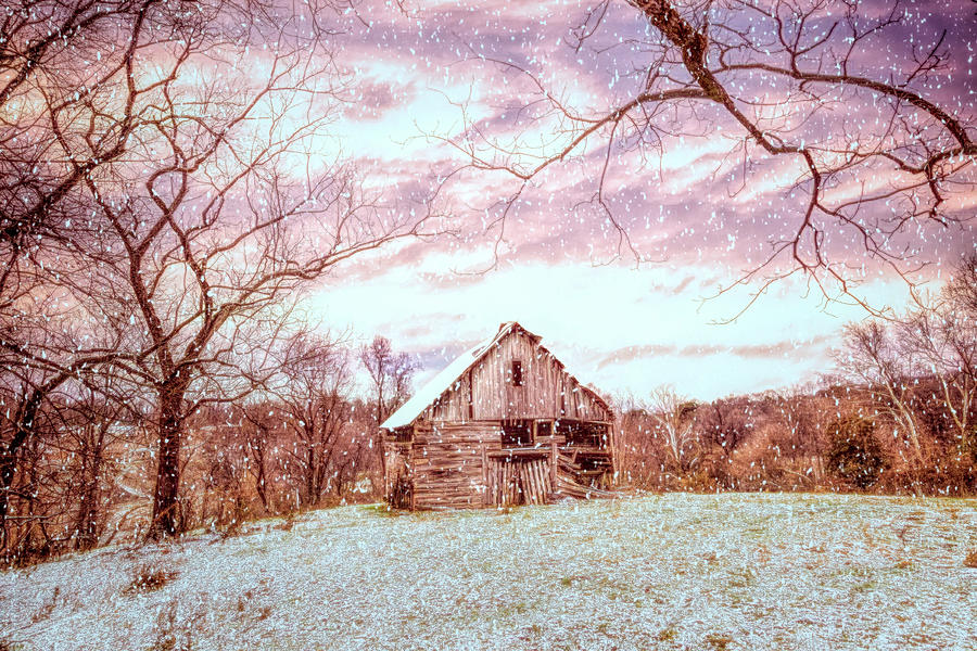 Soft Winter Snow Falling over the Barn Photograph by Debra and Dave Vanderlaan