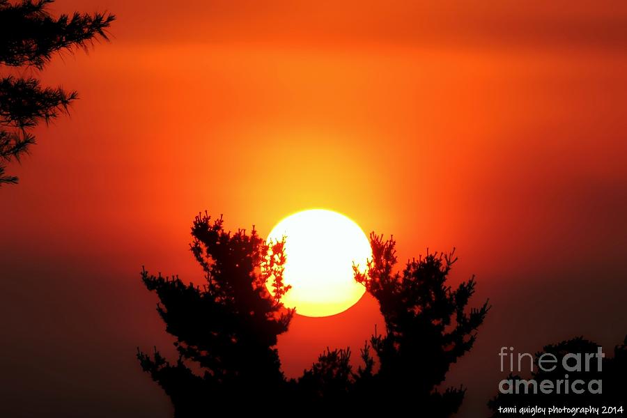 Sunset Photograph - Softly As In An Evening Sunset by Tami Quigley