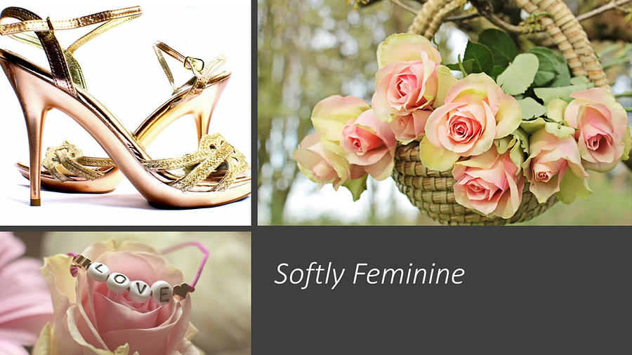 Softly Feminine Mixed Media by Nancy Ayanna Wyatt