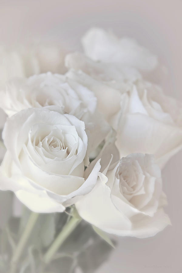 Softness of Ivory Rose Flower Bouquet Photograph by Jennie Marie Schell