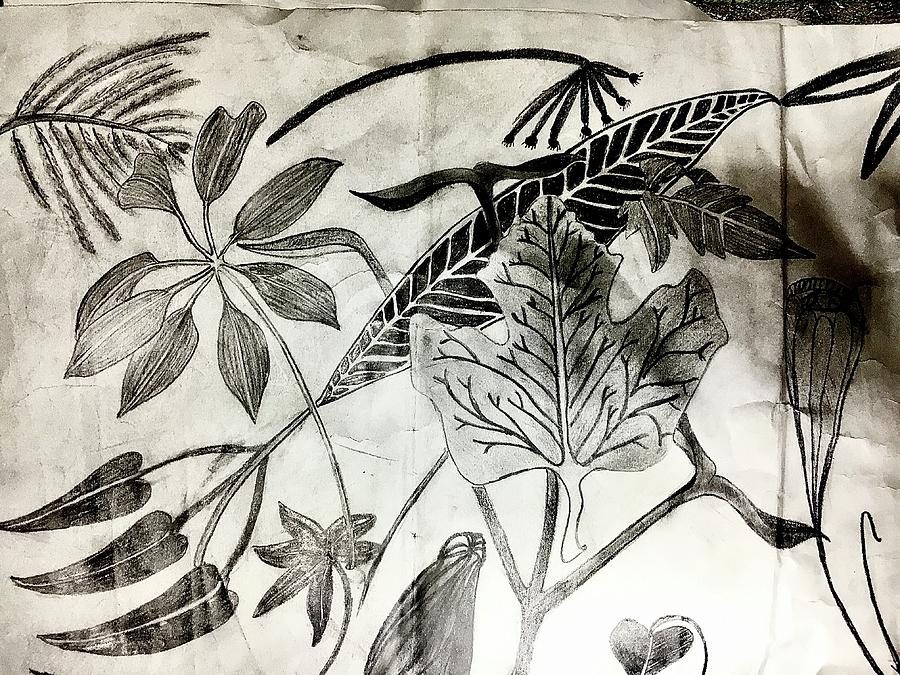 Brand Drawing - Softy plants  by Abedalrahman Samara