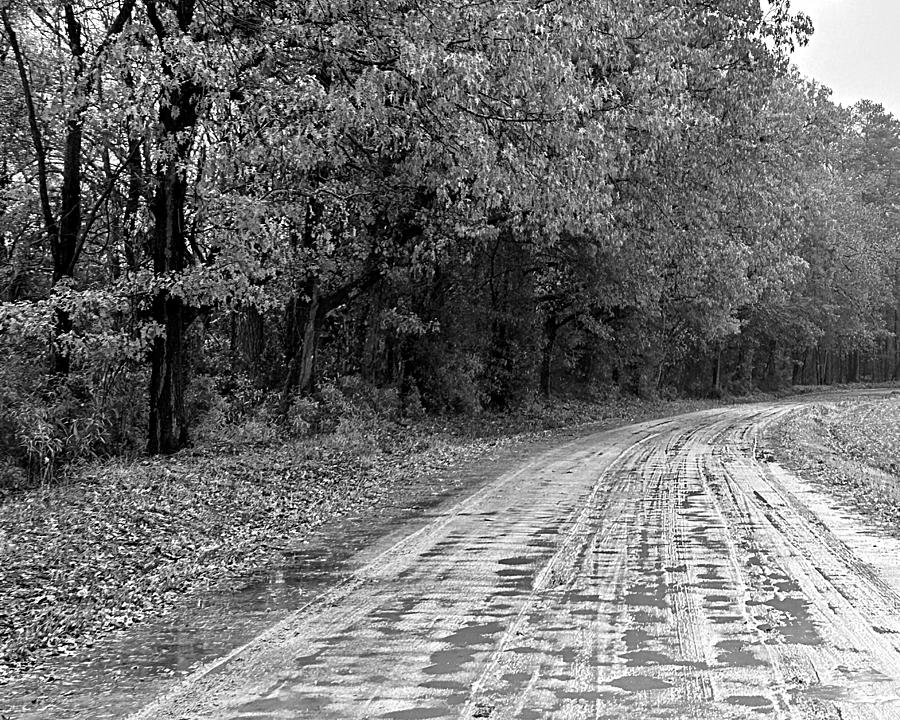 Soggy Dirt Road BW Photograph by Lee Darnell