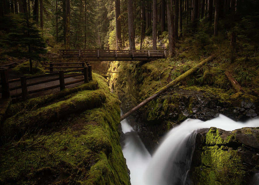 Sol Duc Falls Crossing Photograph by Donnie Whitaker