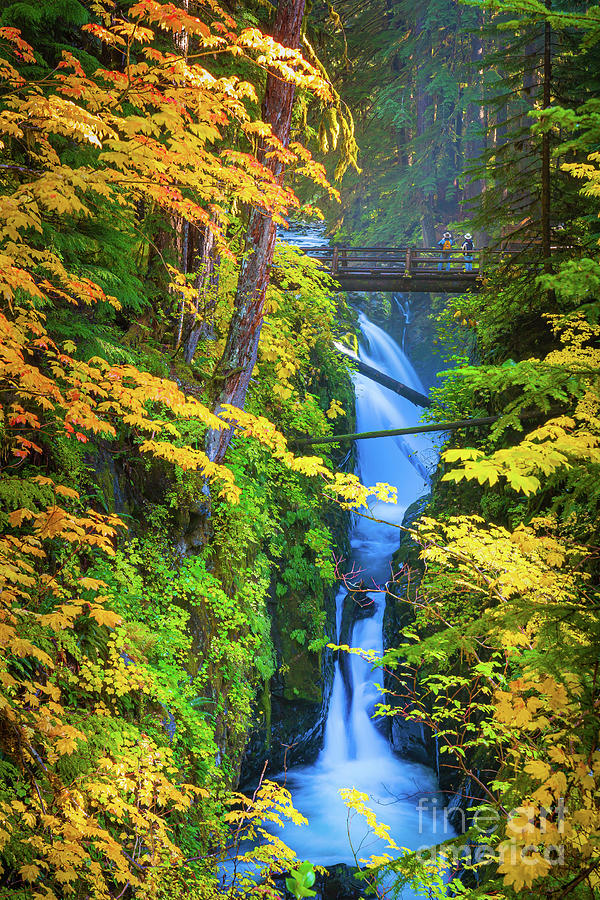 Fall Photograph - Sol Duc Falls in Autumn by Inge Johnsson