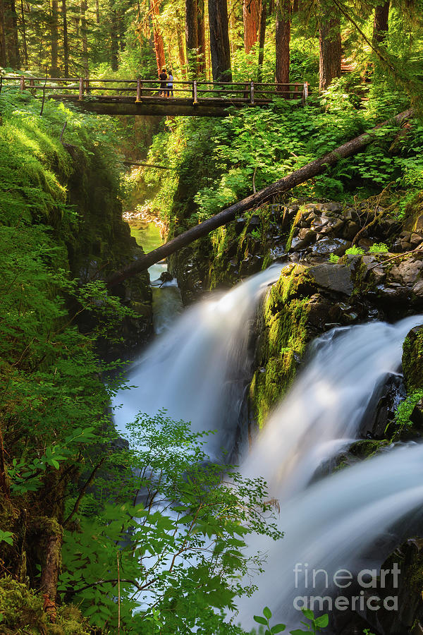 Sol Duc Falls in Olympic N.P Photograph by Henk Meijer Photography