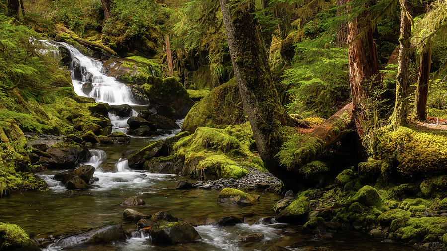 Sol Duc Falls Lovers Lane Trail Creek Photograph by Donnie Whitaker