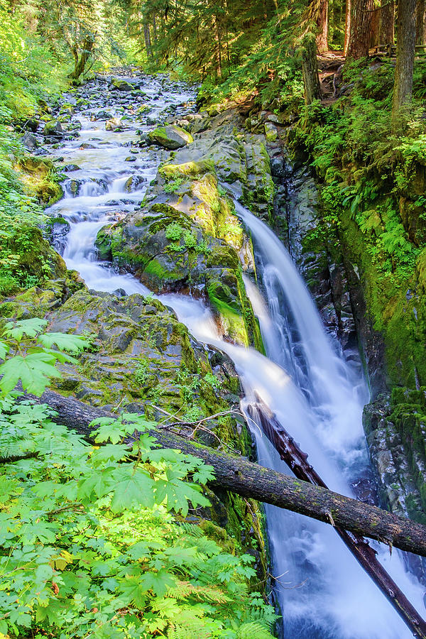 Sol Duc Falls Photograph by Marla Brown