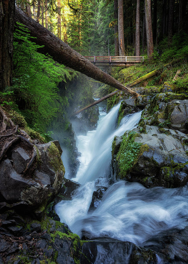 Sol Duc Falls - Olympic National Park Photograph