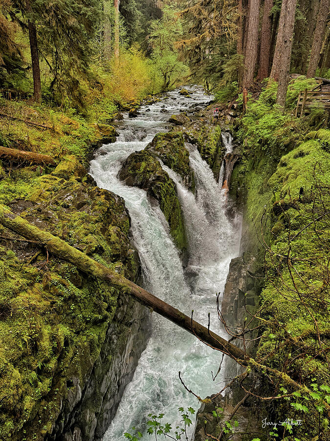Sol Duc Falls - Olympic Peninsula - Olympic National Park Photograph by Jerry Abbott Sol Duc Falls - Olympic Peninsula - Olympic National Park Photograph by Jerry Abbott