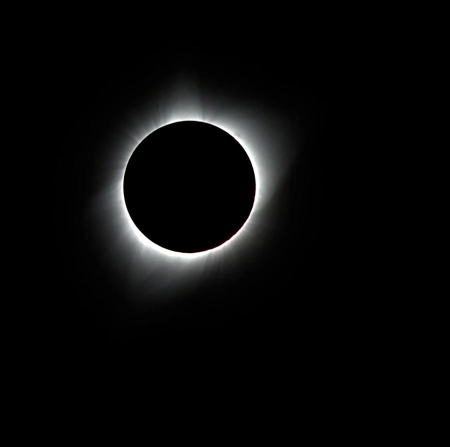 Solar Eclipse Corona Ring Photograph by Bob Falcone