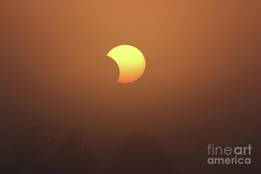 Solar Eclipse June 10 2021  2335 Photograph by Jack Schultz