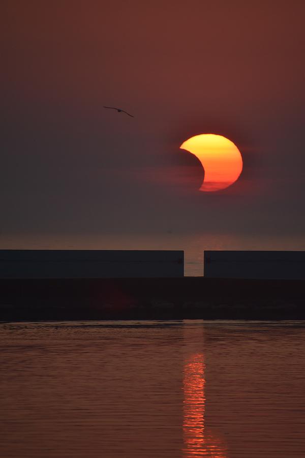 Solar Eclipse Lake Michigan Photograph by Shelley Burke Fine Art America