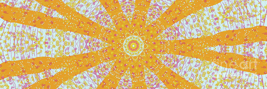 Solar Improvisation 2221  Digital Art by Bentley Davis