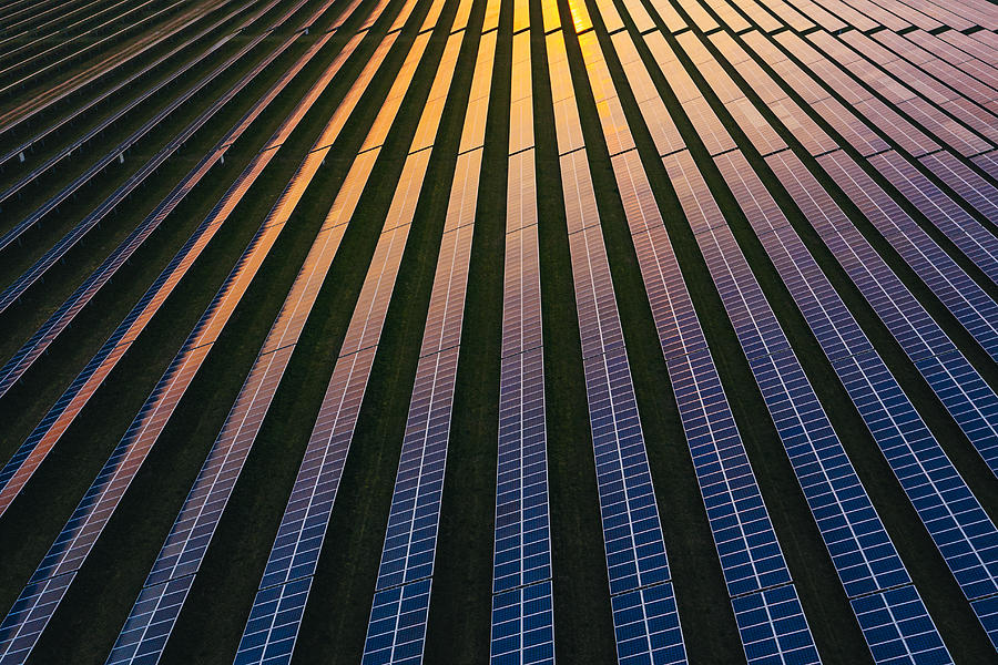 Solar panels at dusk Photograph by Justin Paget