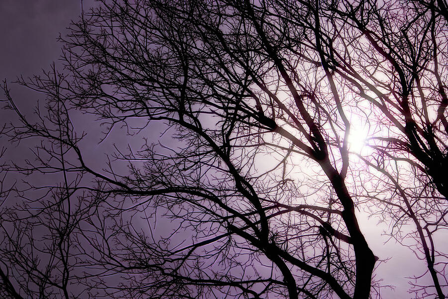 Solar Shadows Photograph by Mike Smale Solar Shadows Photograph by Mike Smale