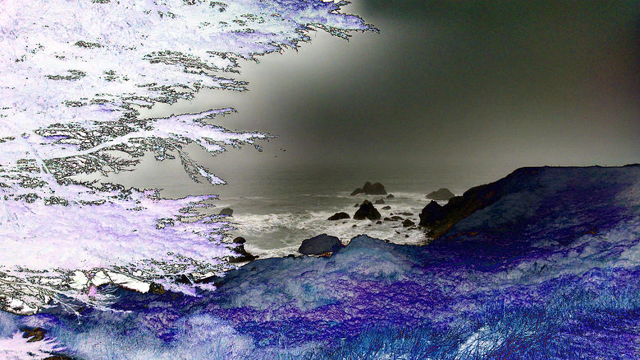 Solarized coast Photograph by Steven Wills