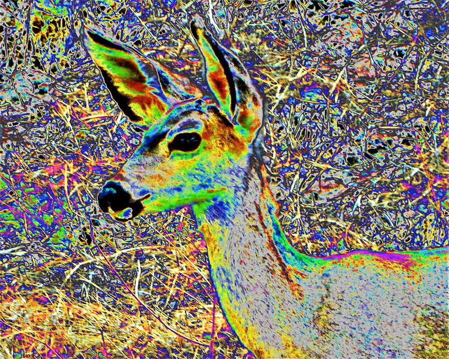 Solarized Deer Photograph by Andrew Lawrence