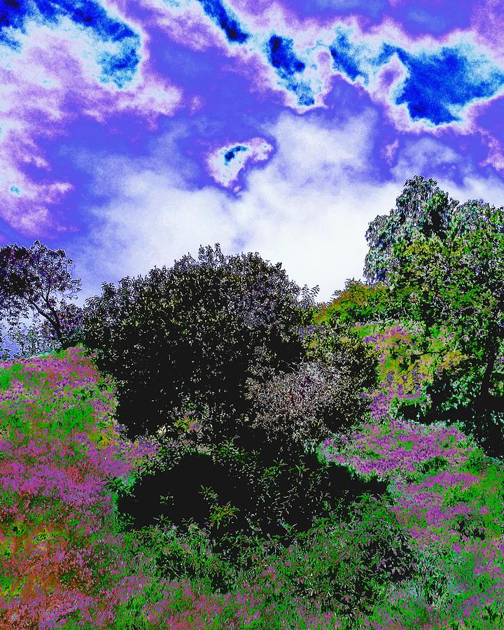 Solarized Hillside Sky Photograph by Andrew Lawrence