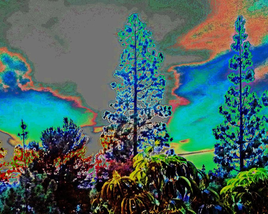 Solarized Sunset April Photograph by Andrew Lawrence