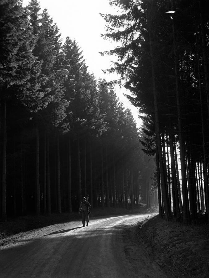 Soldier Walking Through The Forest - Battle Of The Bulge - 1944 Photograph by War Is Hell Store
