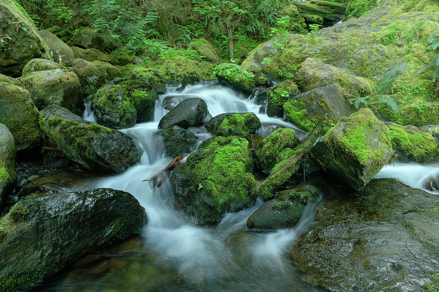 Solicitude of water Photograph by Jeff Swan