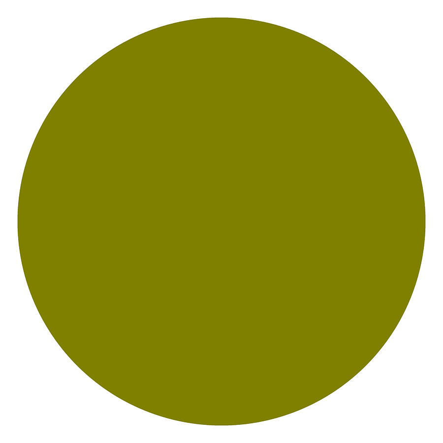 Solid Olive Circle Digital Art by Bill Swartwout