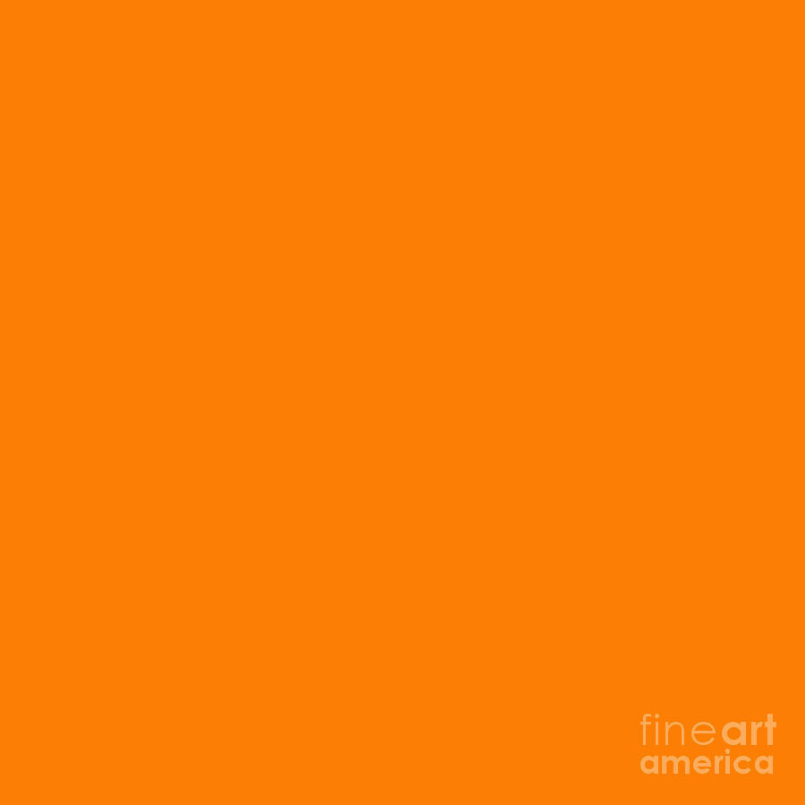 Solid Orange Color  Digital Art by Delynn Addams