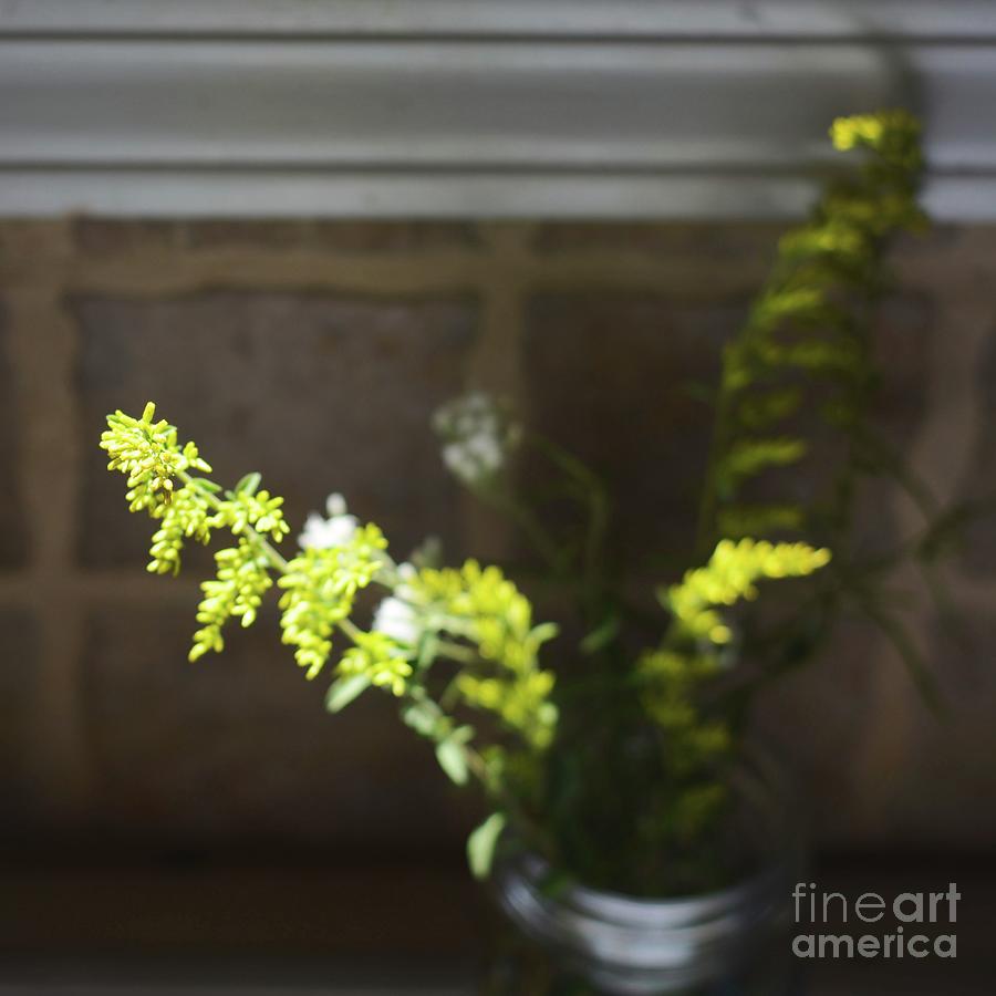 Solidago, Golden Rod - Still Life Photograph by Adrian De Leon Art and Photography
