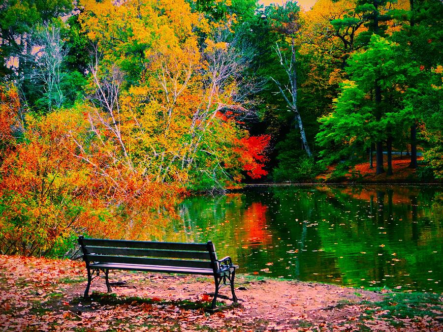 Fall Photograph - Solitary bench by Atlas Tracer