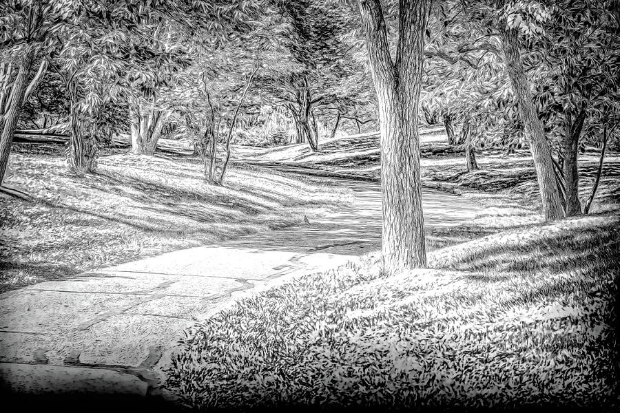 Solitary Path Monochrome Digital Art by Dennis Lundell