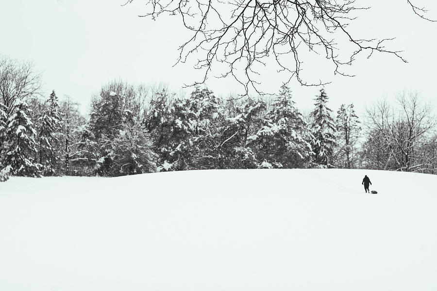 Solitary Snowfall Photograph by Kimberly Mackowski
